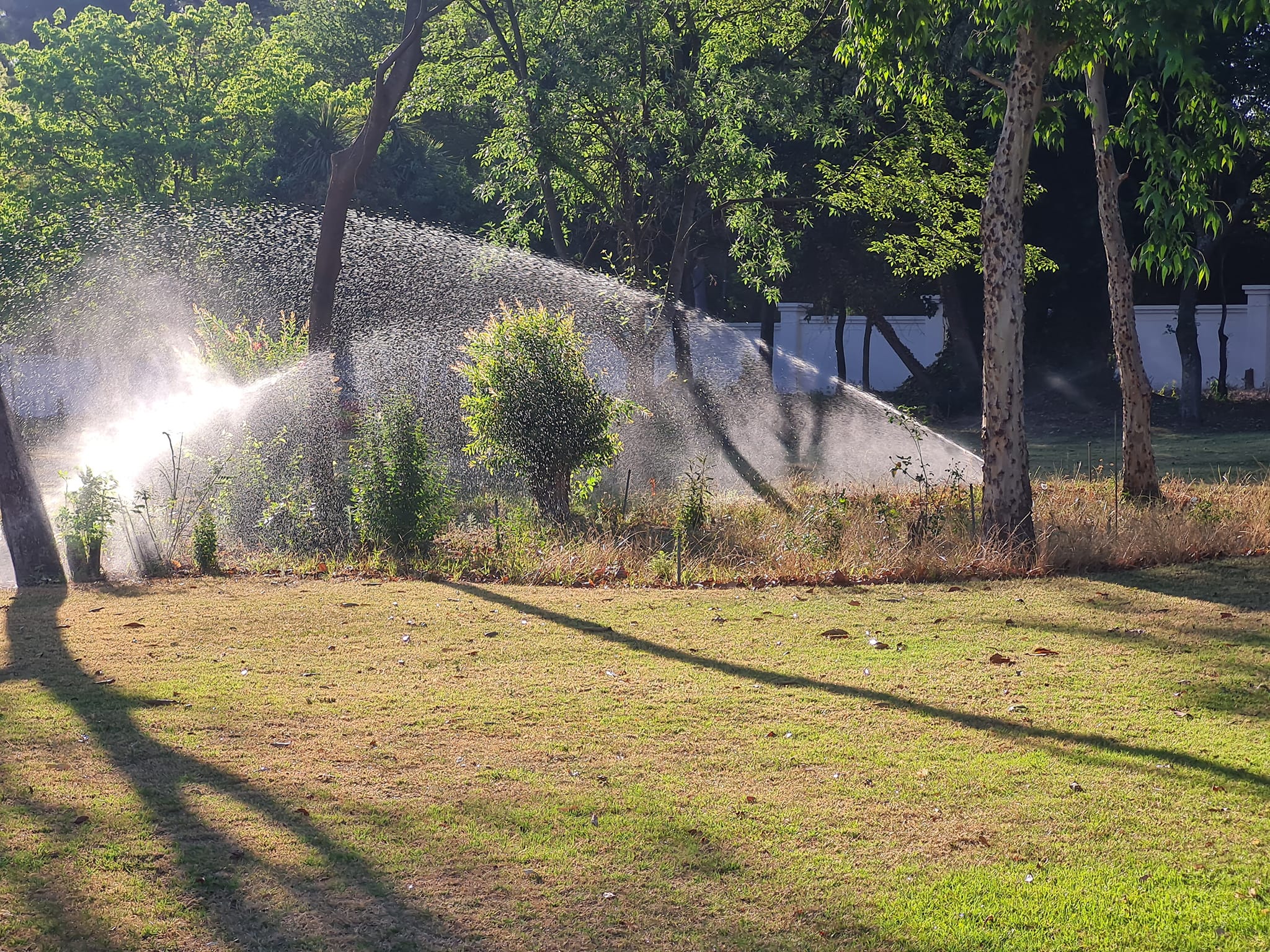 448335557_1002002638592282_3114805975102661669_n