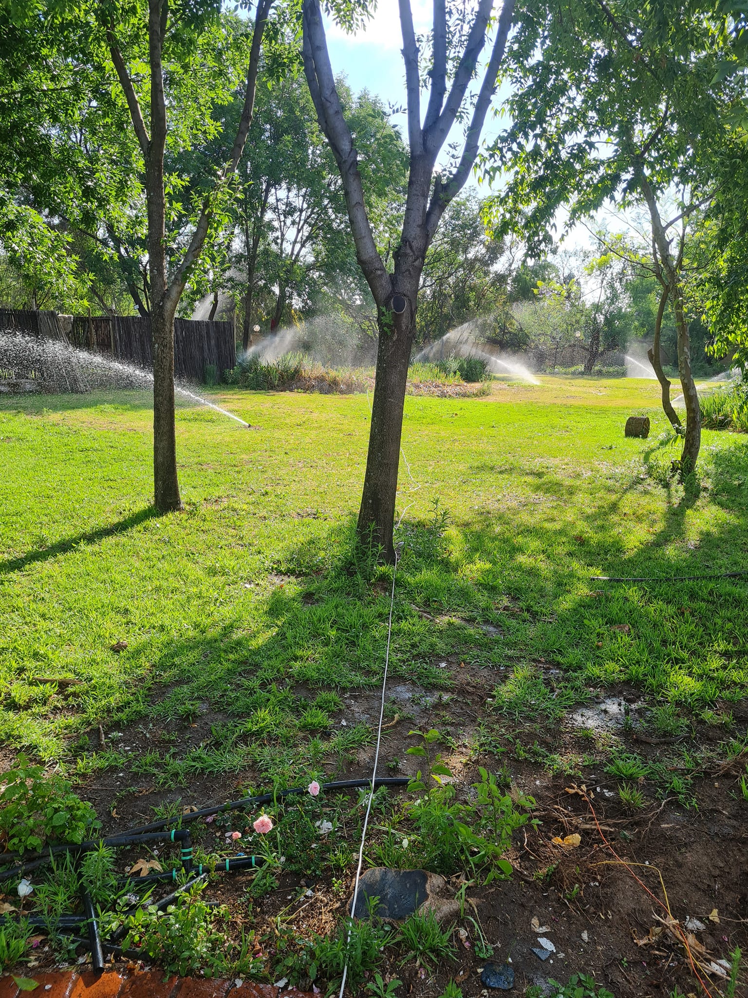 448356591_1002002561925623_6541710402938004460_n